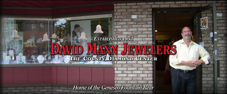 David Mann Jewelers - Custom Homepage Banner
